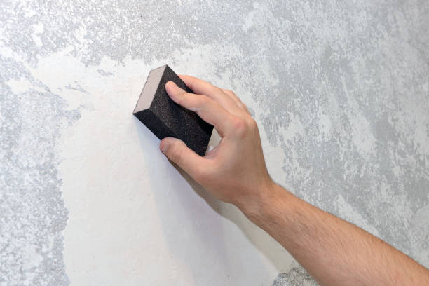Biohazard Mold Removal in Hobe Sound, FL