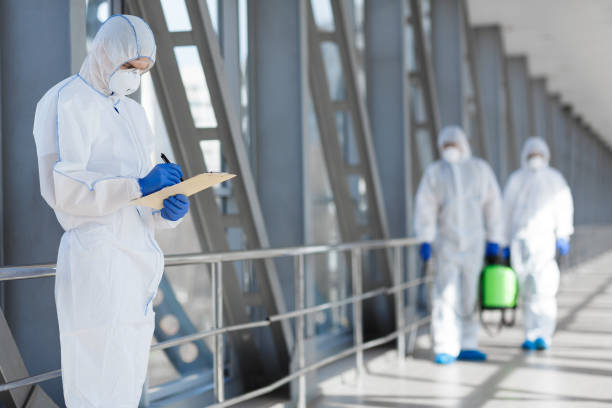 Best Mold Remediation for Healthcare Facilities  in Hobe Sound, FL