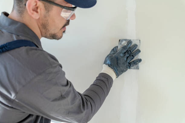 Best Attic Mold Removal  in Hobe Sound, FL