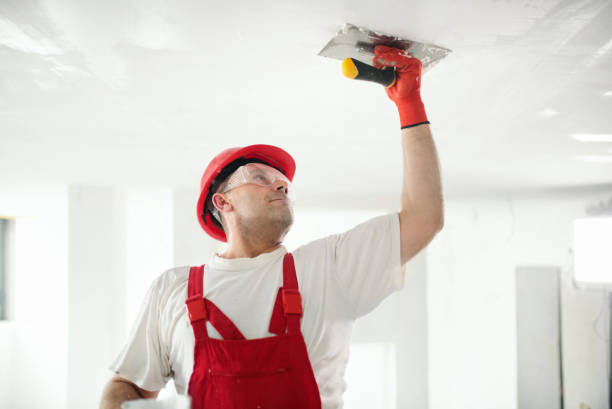 Best Commercial Mold Inspection  in Hobe Sound, FL