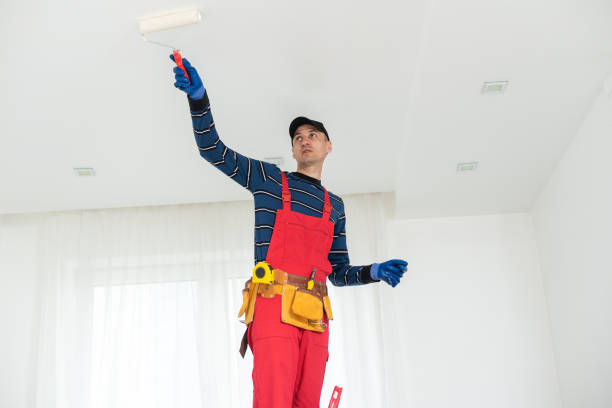 Best Emergency Mold Remediation  in Hobe Sound, FL