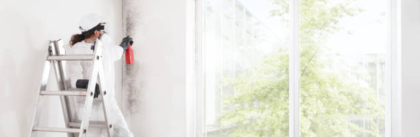 Best HVAC Mold Inspection and Cleaning  in Hobe Sound, FL