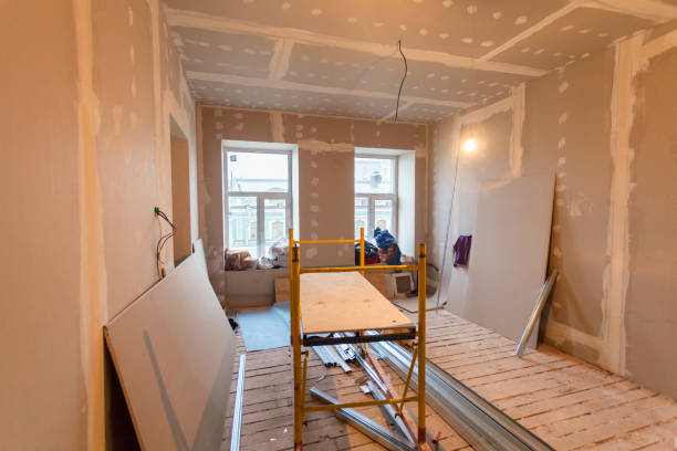 Best Forensic Mold Investigation  in Hobe Sound, FL