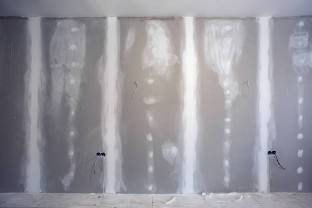Best Airborne Mold Testing  in Hobe Sound, FL